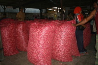red-onion-market-11