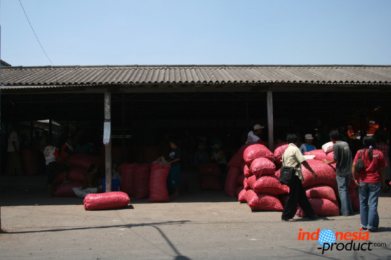red-onion-market-28.jpg
