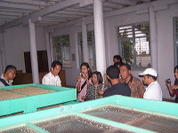 robusta-coffee-factory-03