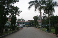 robusta-coffee-factory-25