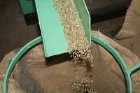 robusta-coffee-factory-29