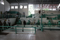 robusta-coffee-factory-35