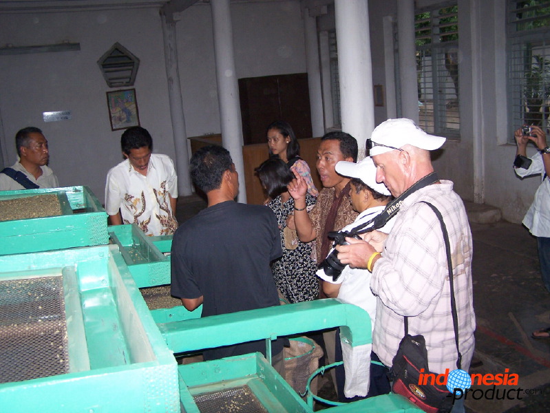 robusta-coffee-factory-06.jpg