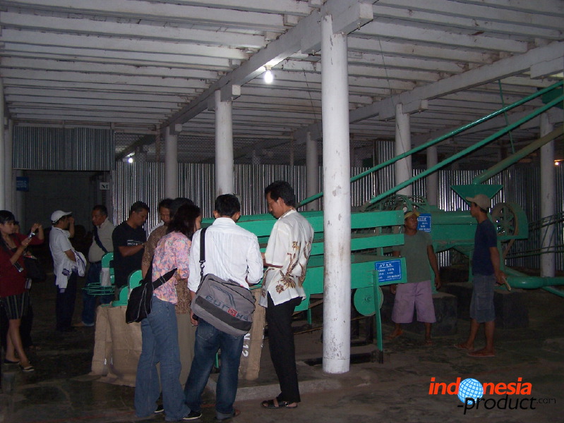 robusta-coffee-factory-15.jpg