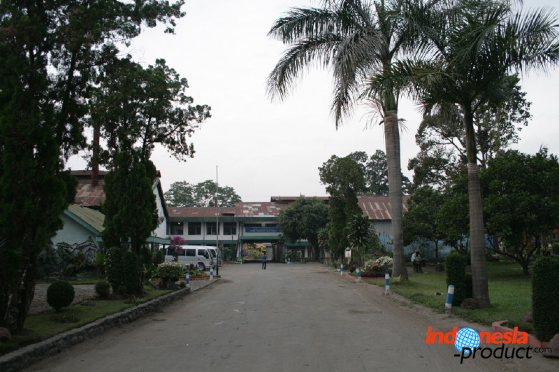 robusta-coffee-factory-25.jpg