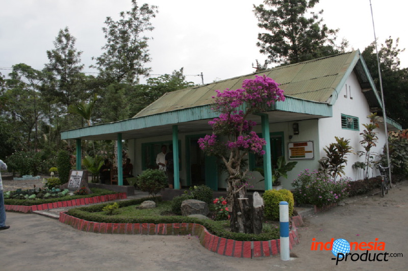 robusta-coffee-factory-31.jpg