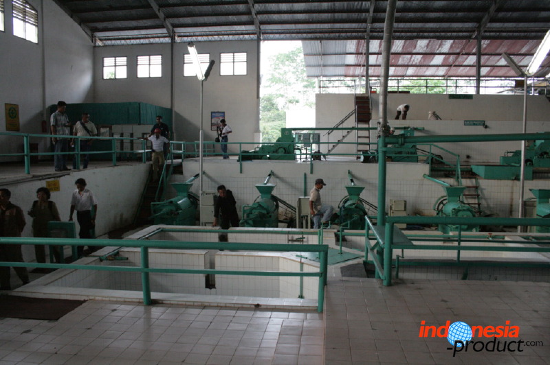 robusta-coffee-factory-35.jpg