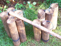 siwalan-tree-15