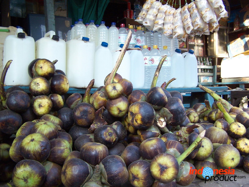 siwalan-tree-06.jpg