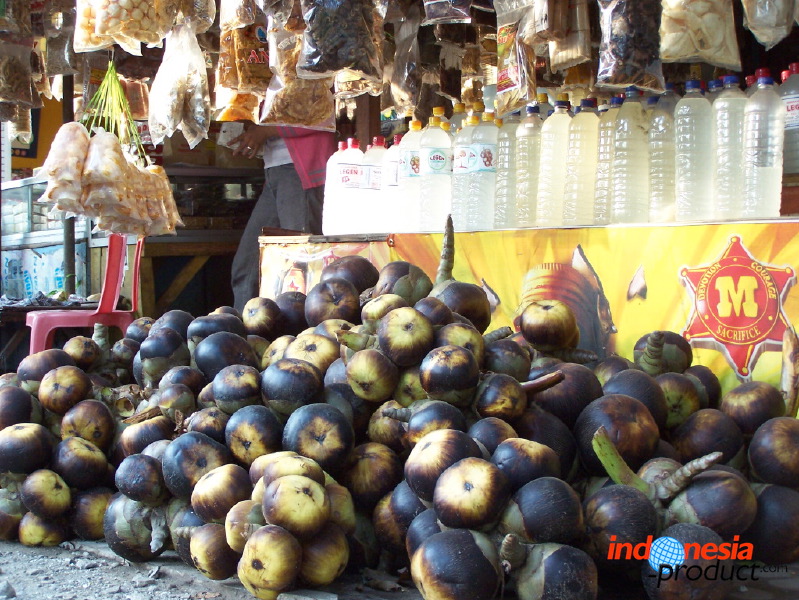 siwalan-tree-11.jpg