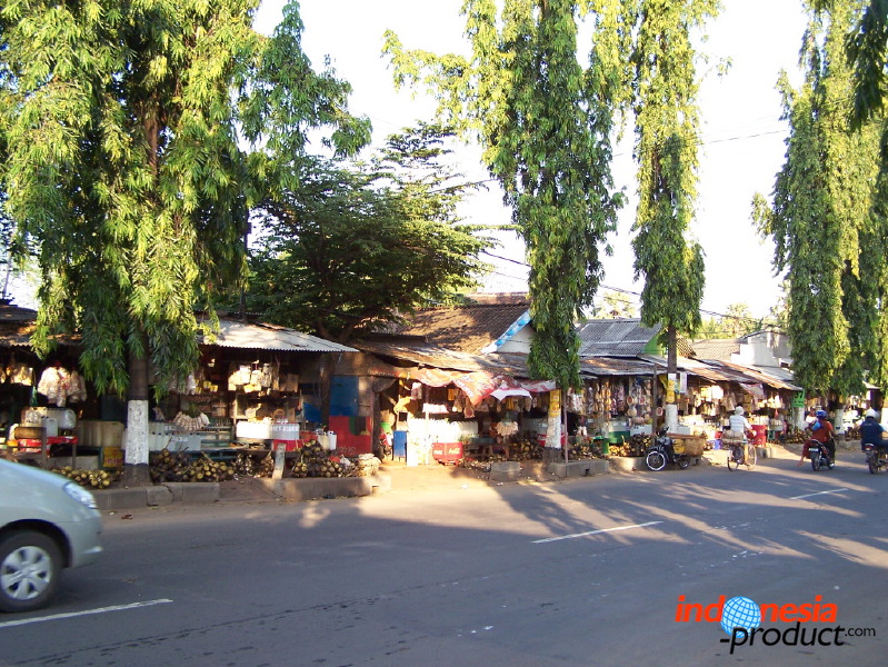 siwalan-tree-31.jpg