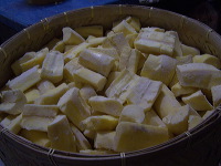 tape-bondowoso-01