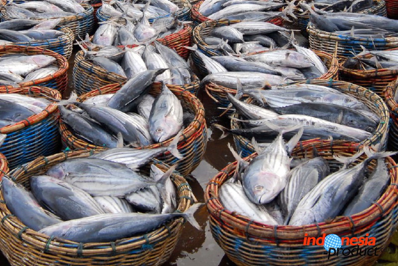 tongkol-fish-chip-03.jpg