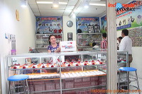 wholesale_from_indonesia